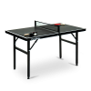 MINI PING-PONG TABLE