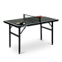 MINI PING-PONG TABLE