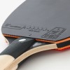 BAT PERFORM 800 BAT PERFORM 800