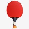 BAT PERFORM 800 BAT PERFORM 800