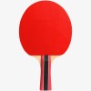 BAT SPORT 300 BAT SPORT 300