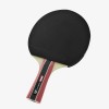 BAT SPORT 300 BAT SPORT 300